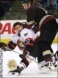 Shaun Van Allen, Shane Doan